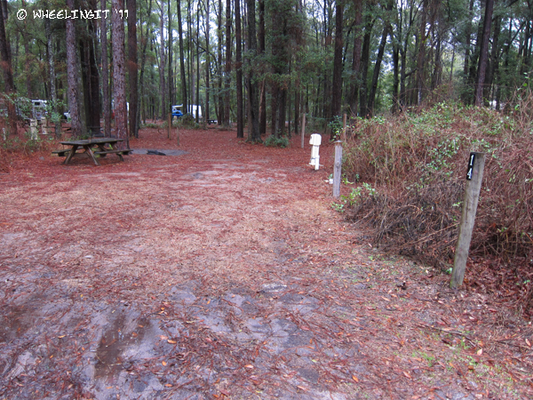 201102 Feb Suwanee River Campground (Site 14) (JPG)
