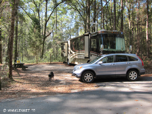 201102 Feb Suwanee River Campground2 (JPG)