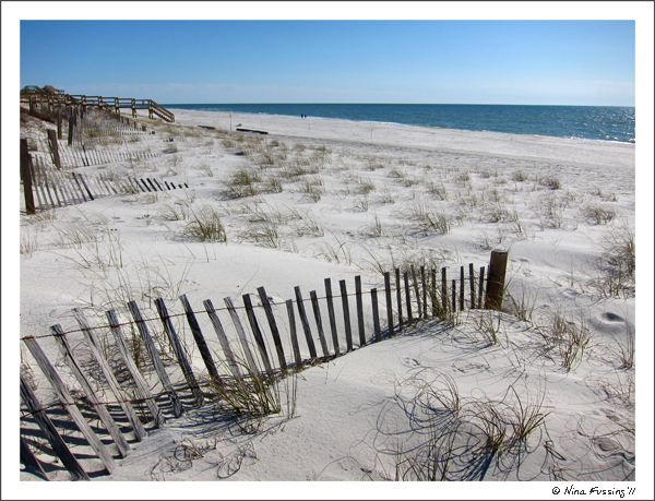 20110212 St Joseph Beach (JPG)