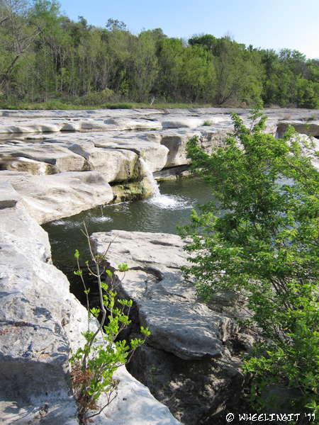 201103 Mar McKinney Falls SP Austin TX (19) (JPG)