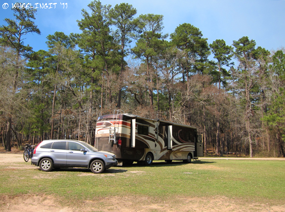 201103 Mar Sam Houston NF (13) (JPG)