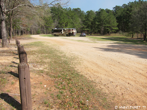 201103 Mar Sam Houston NF (19) (JPG)