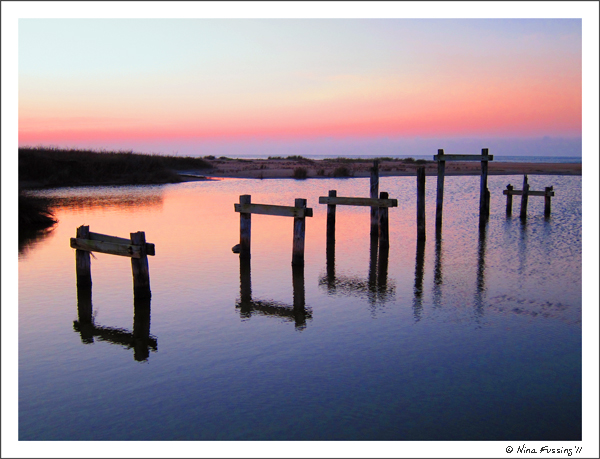 201103 Mar Sea Rim SP TX (31) (JPG)