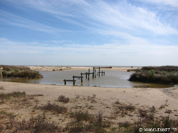 201103 Mar Sea Rim SP TX5 (39) (JPG)