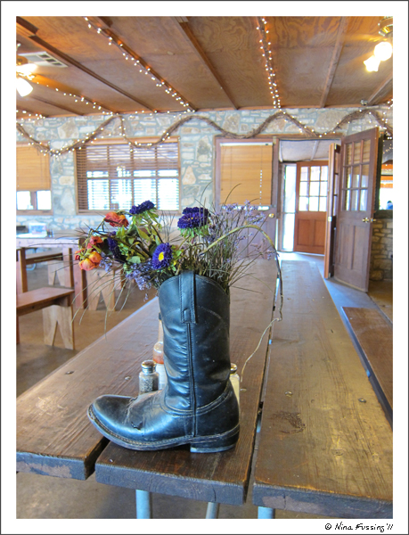 201103 Mar The Salt Lick (6) (JPG)