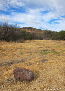 201104 Apr Davis Mountains TX (19) (JPG)