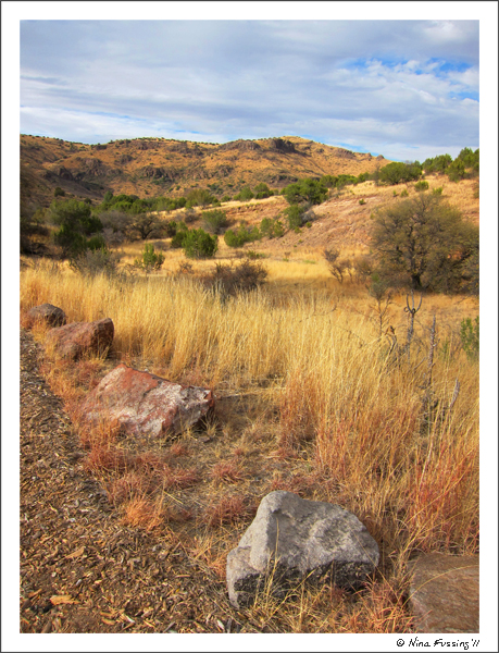 201104 Apr Davis Mountains TX (23) (JPG)
