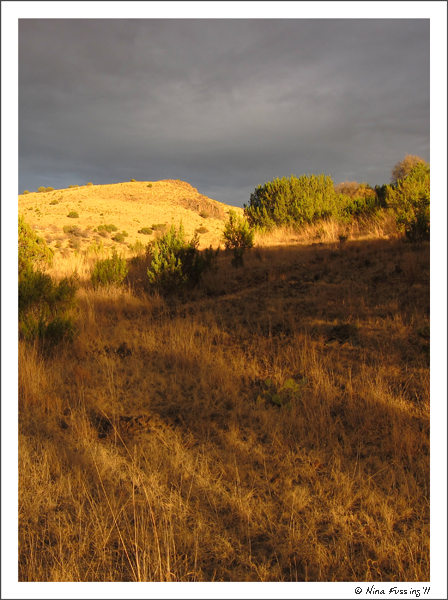 201104 Apr Davis Mountains TX (24) (JPG)