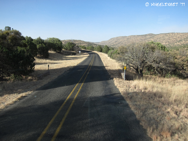 201104 Apr Davis Mountains TX2 (50) (JPG)