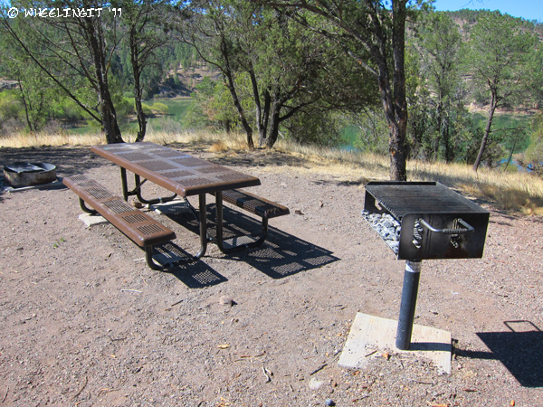201104 Apr Gila Forest (51) (JPG)