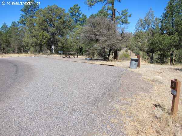 201104 Apr Gila Forest (62) (JPG)