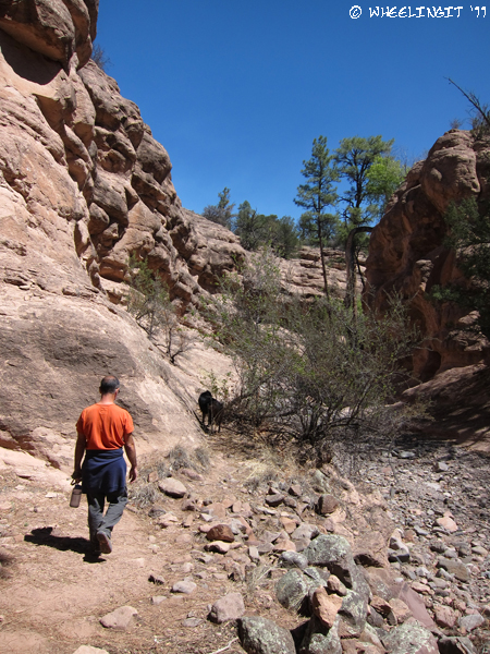201104 Apr Gila Forest2 (16) (JPG)