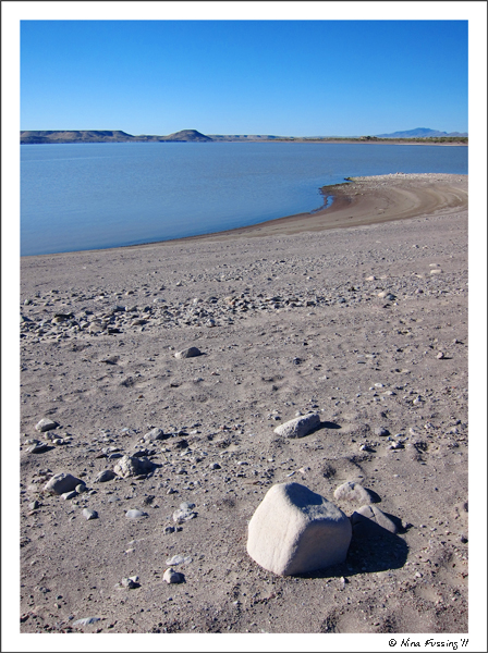 C-20110502 Elephant Butte SP NM (70) (JPG)