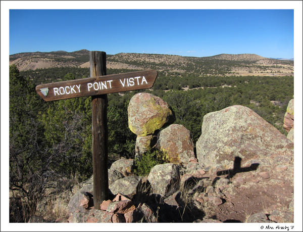 C-20110512 Datil Well NM (7) (JPG)