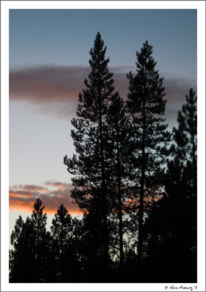 C-20110815 LaPine SP Hikes (JPG)