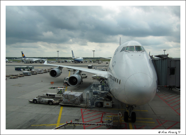 C-20110904 Fly (JPG)