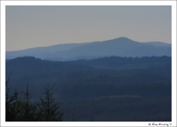 C-20110907 LL Stubs Stewart SP (2) (JPG)