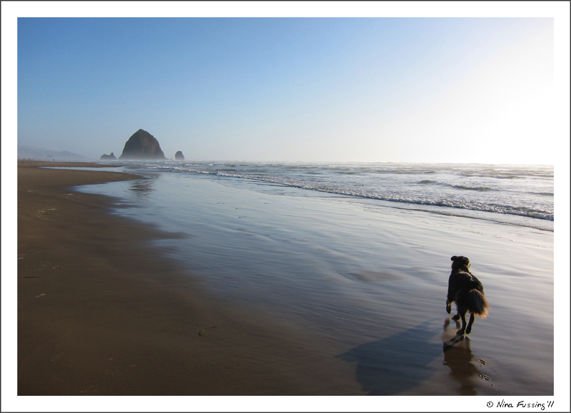 C-20110919 Cannon Beach OR (11) (JPG)