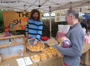 Paul chats with the mushroom guy