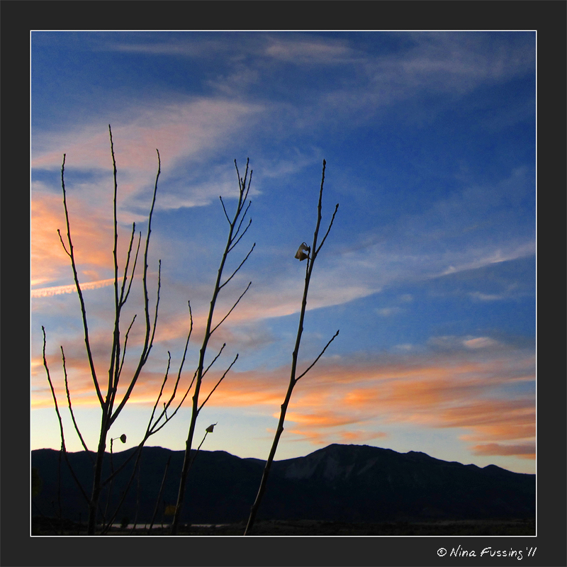 C-20111022 Washoe Lake State Park (32) (JPG)