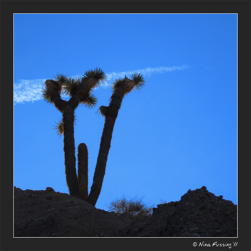 C-20111103 Owl Canyon Hike (JPG)