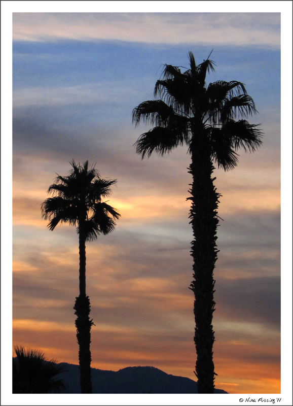 C-20111109 Sunset (3) (JPG2)