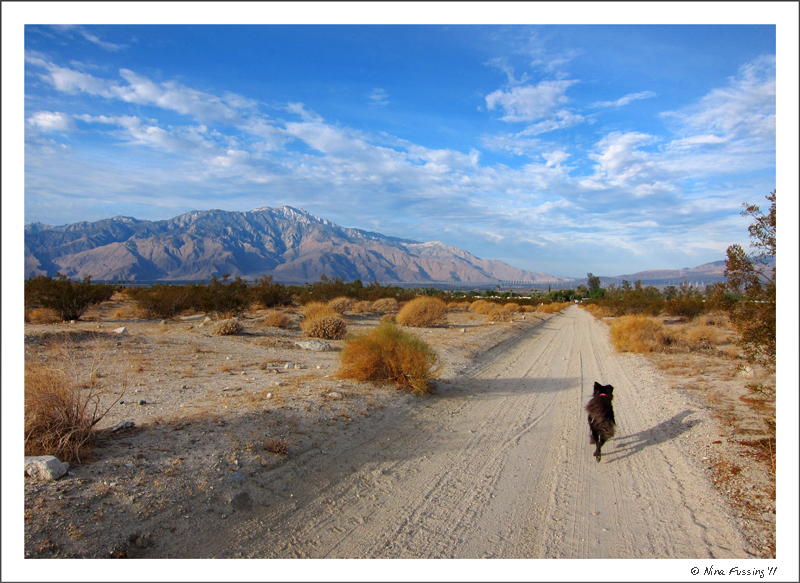 C-20111110 Desert Hot Springs (9) (JPG)