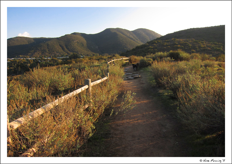 C-20111214 Mission Trails Hke (1) (JPG)