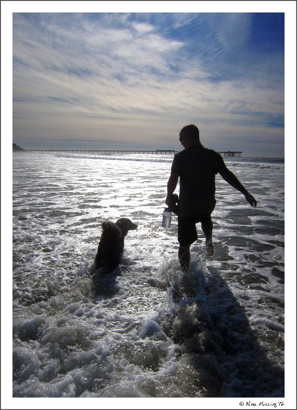C-20120105 Ocean Beach Dog Beach (15) (JPG)