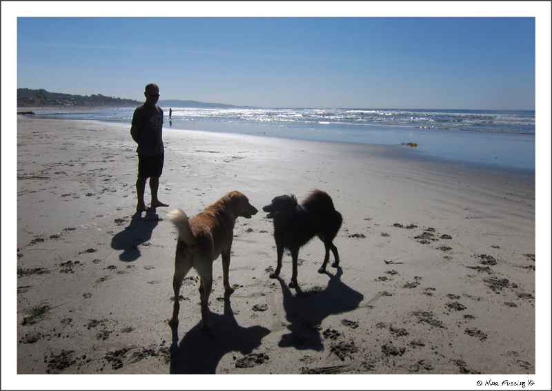 C-20120117 Del Mar Dog Beach (35) (JPG)