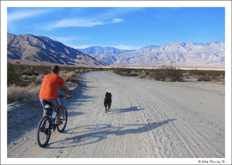 C-20120131 Borrego Springs (22) (JPG)