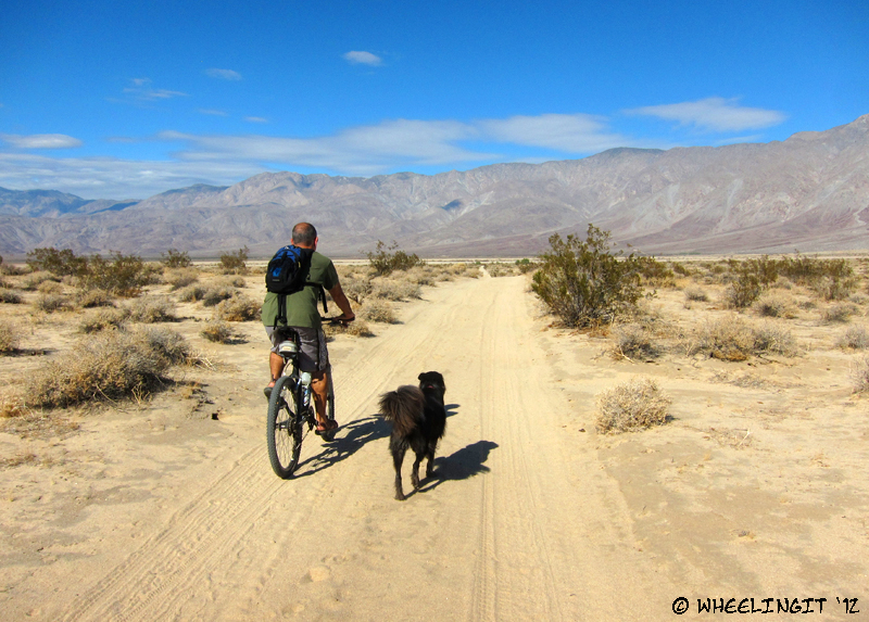 C-20120208 Borrego Springs (6) (JPG)
