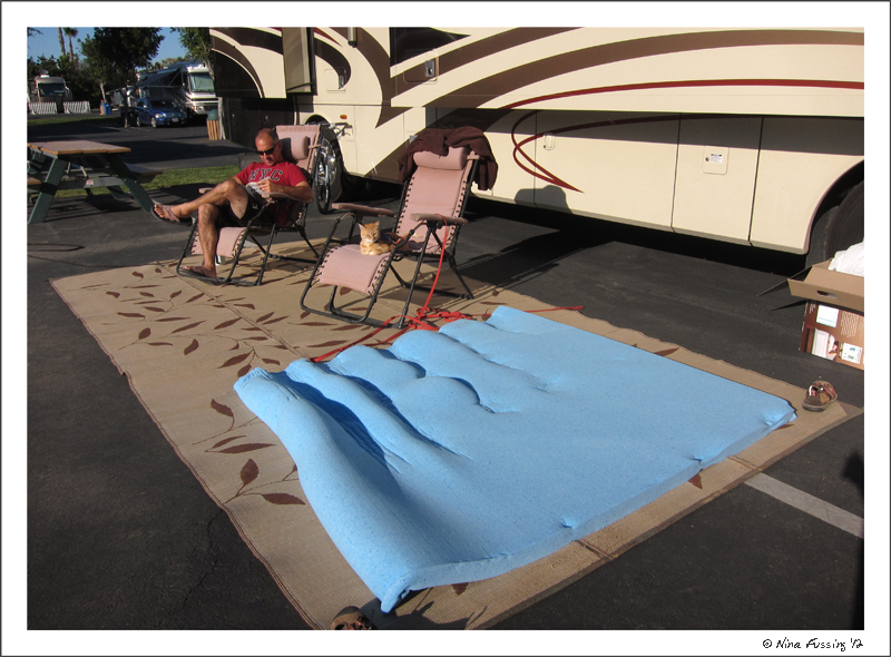 C-20120217 Memory Foam (JPG)