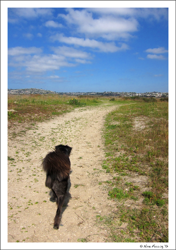 C-20120218 Geocaching Fiesta Island (1) (JPG)