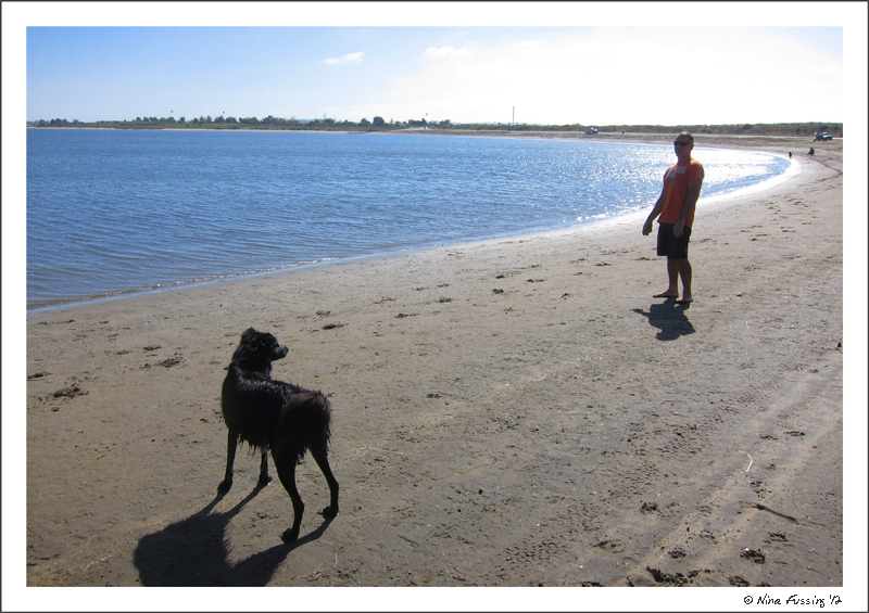 C-20120223 Fiesta Island (25) (JPG)