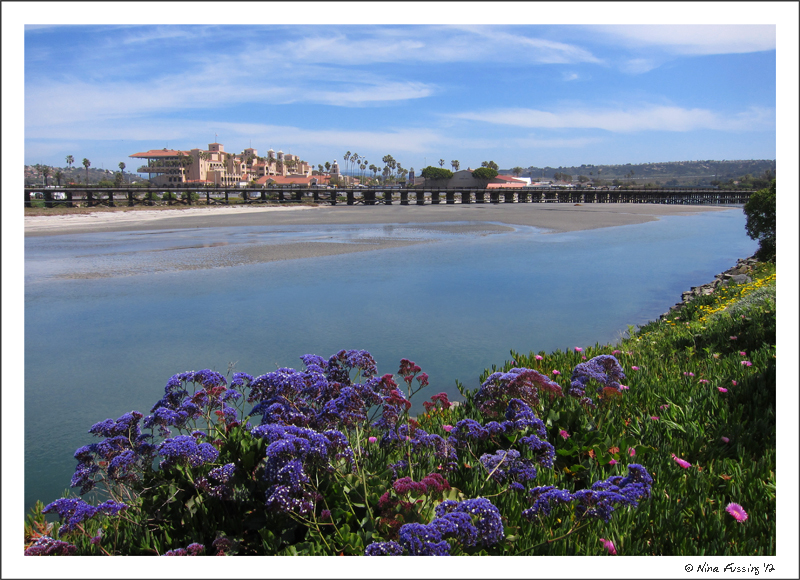 C-20120328 Del Mar Dog Beach (38) (JPG)