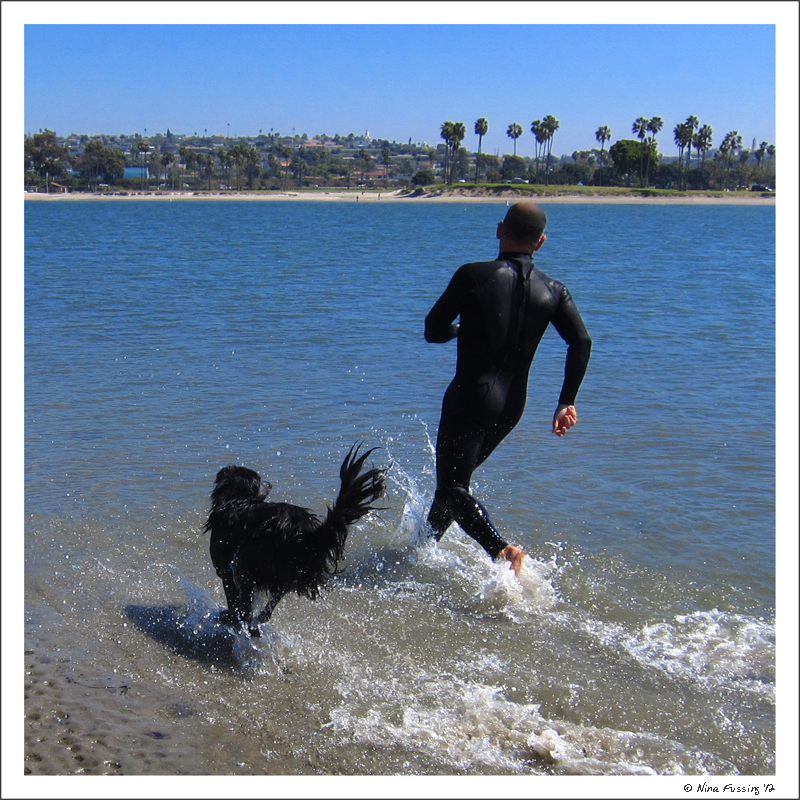 C-20120314 Fiesta Island (12) (JPG)