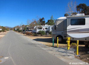 View down East Willow Loop (site #172 on right). Back-ins to the stream-side are the nicest here.