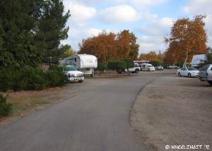 View down Willow Loop (RV in site #123 on left, #122 on right)