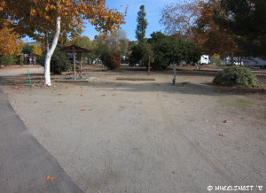 One of the large, lovely sites in Willow Loop (site #122)