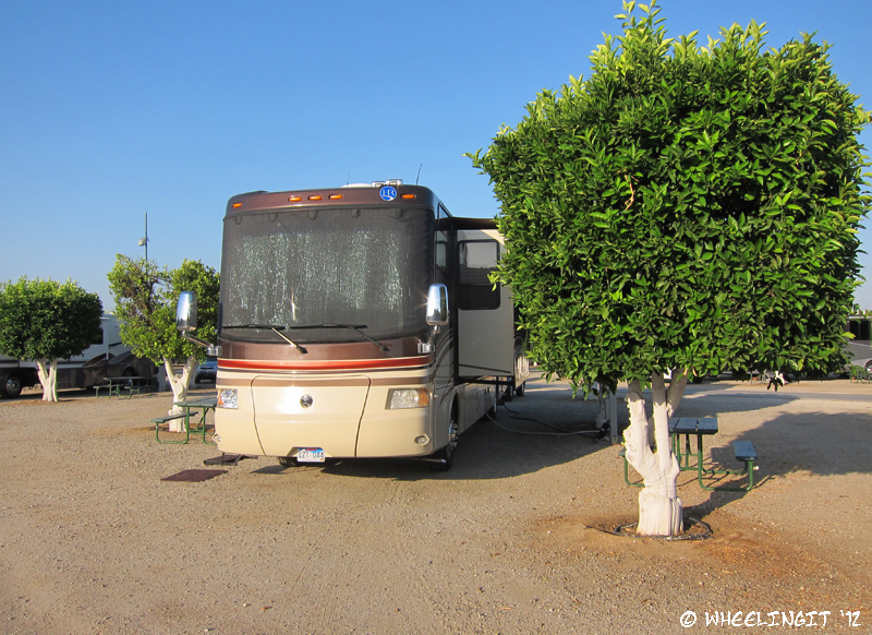 C-20120521 Orange Grove RV Park (15) (JPG)