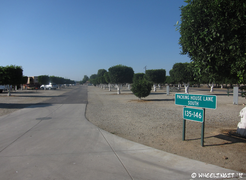 C-20120521 Orange Grove RV Park (4) (JPG)