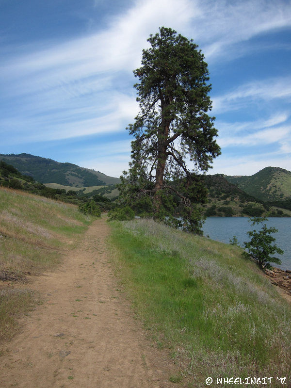C-20120530 Emigrant Lake County Park (13) (JPG)