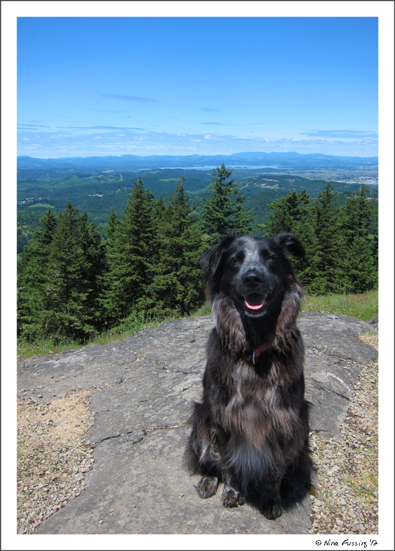 C-20120607 Spencer Butte Hike (7) (JPG)