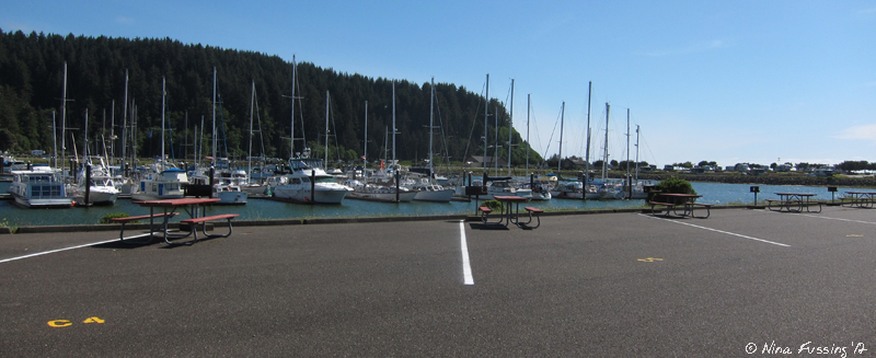C-20120614 Winchester Bay (4) (JPG)
