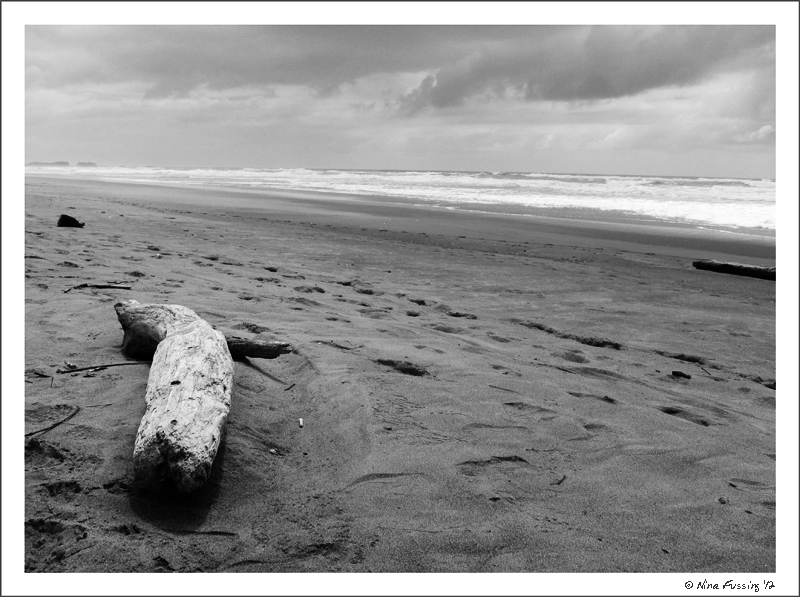 C-20120618 Bullards Beach (3) (JPG)