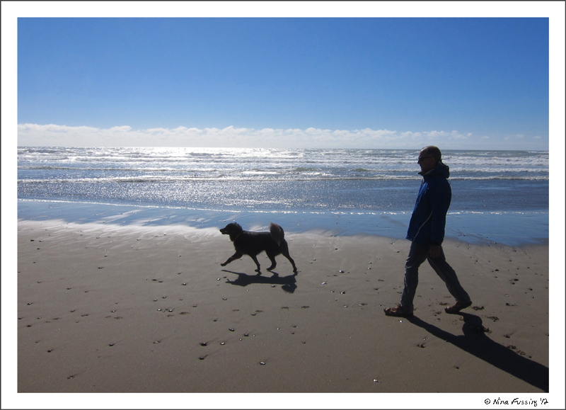 C-20120620 Bullards Beach (2) (JPG)
