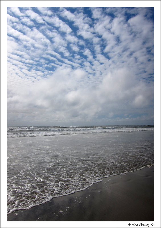 C-20120624 Bullards Beach (18) (JPG)