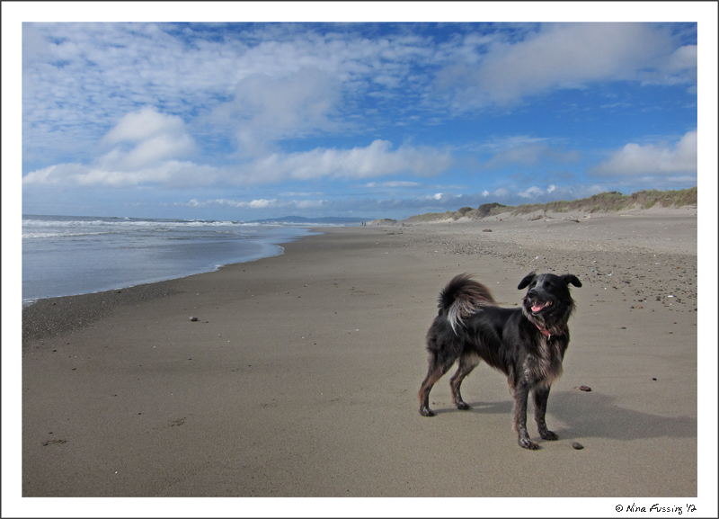 C-20120624 Bullards Beach (6) (JPG)