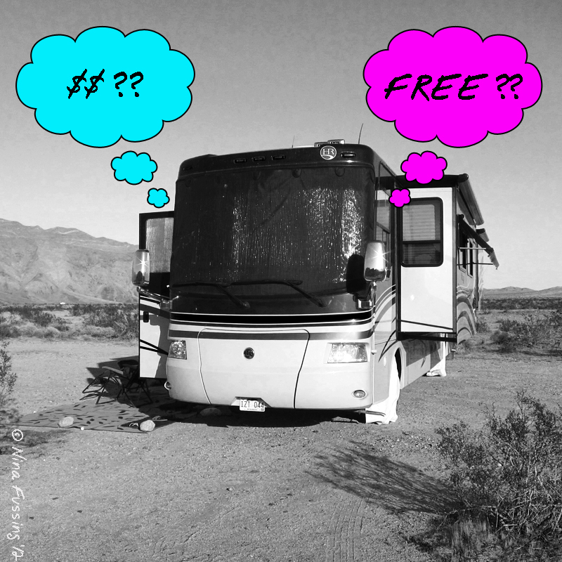 C-20120202 Borrego Boondocking (1) (JPG)